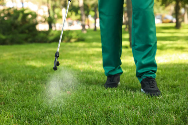 Best Mosquito Control Services  in Blplay, AL