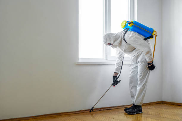 Trusted Ballplay, AL Pest Control Experts