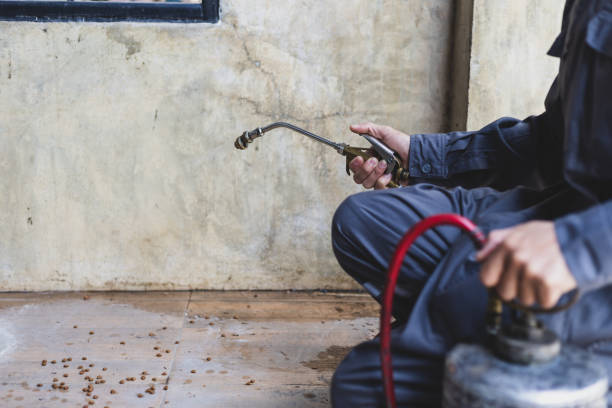 Best Wasp Removal Services  in Blplay, AL